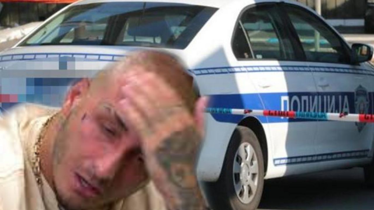 Vuk Mob
