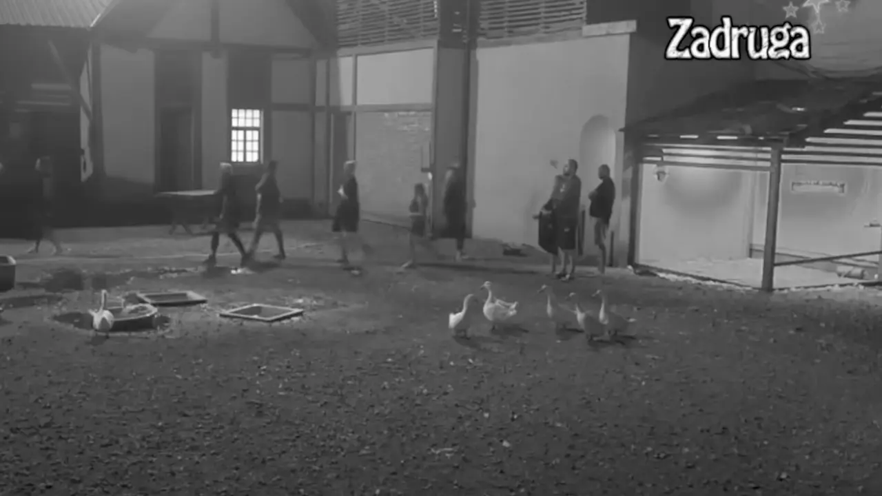 Zadruga