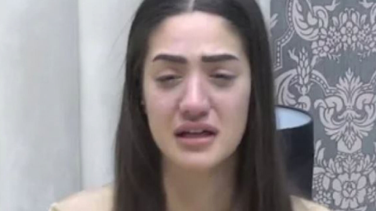 Zadruga 6