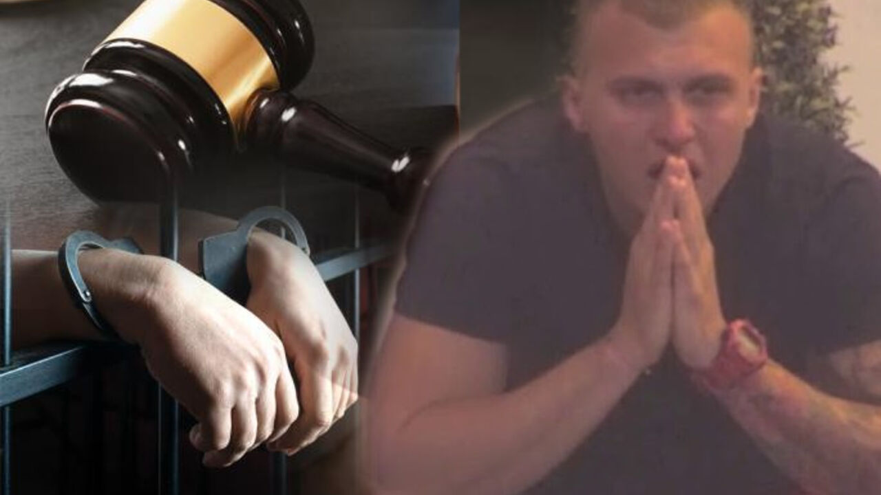 Zadruga 6