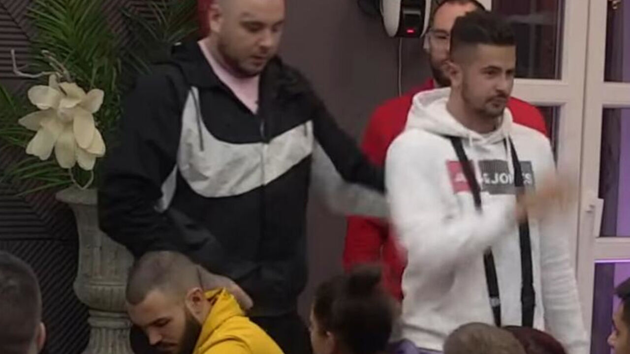 Zadruga 6