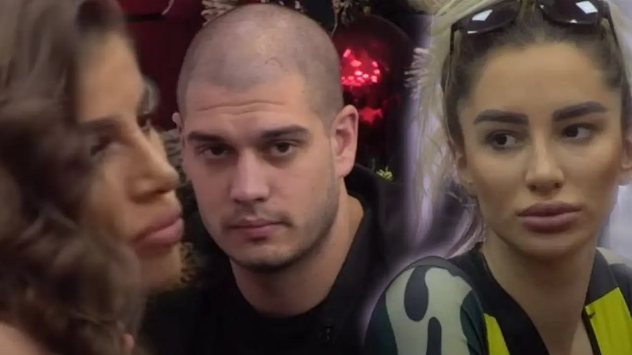 Zadruga 6