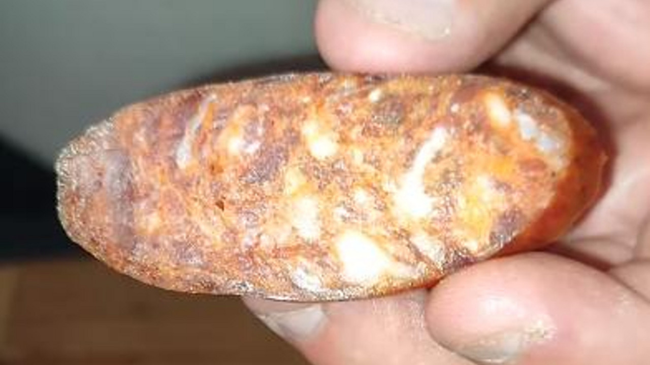kobasica