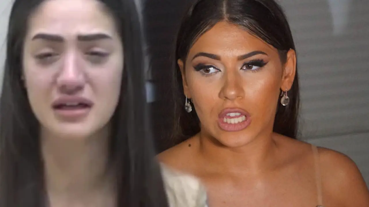Zadruga 6