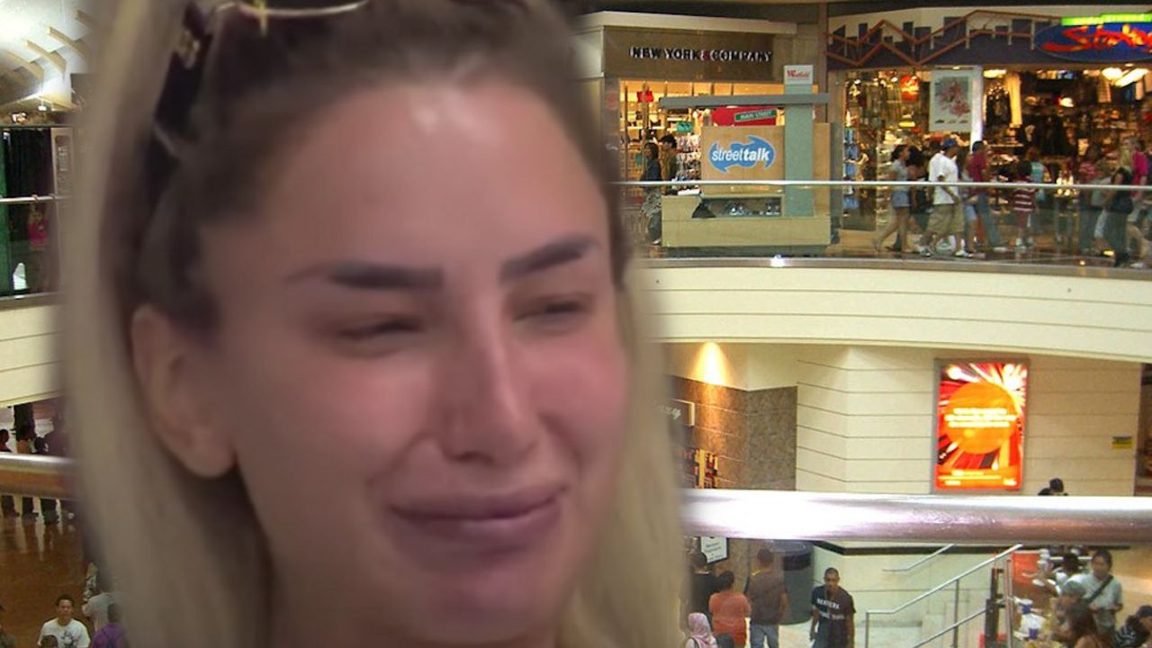 Zadruga 6