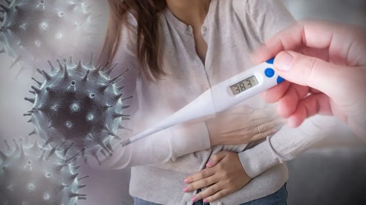 virus, groznica, bolest