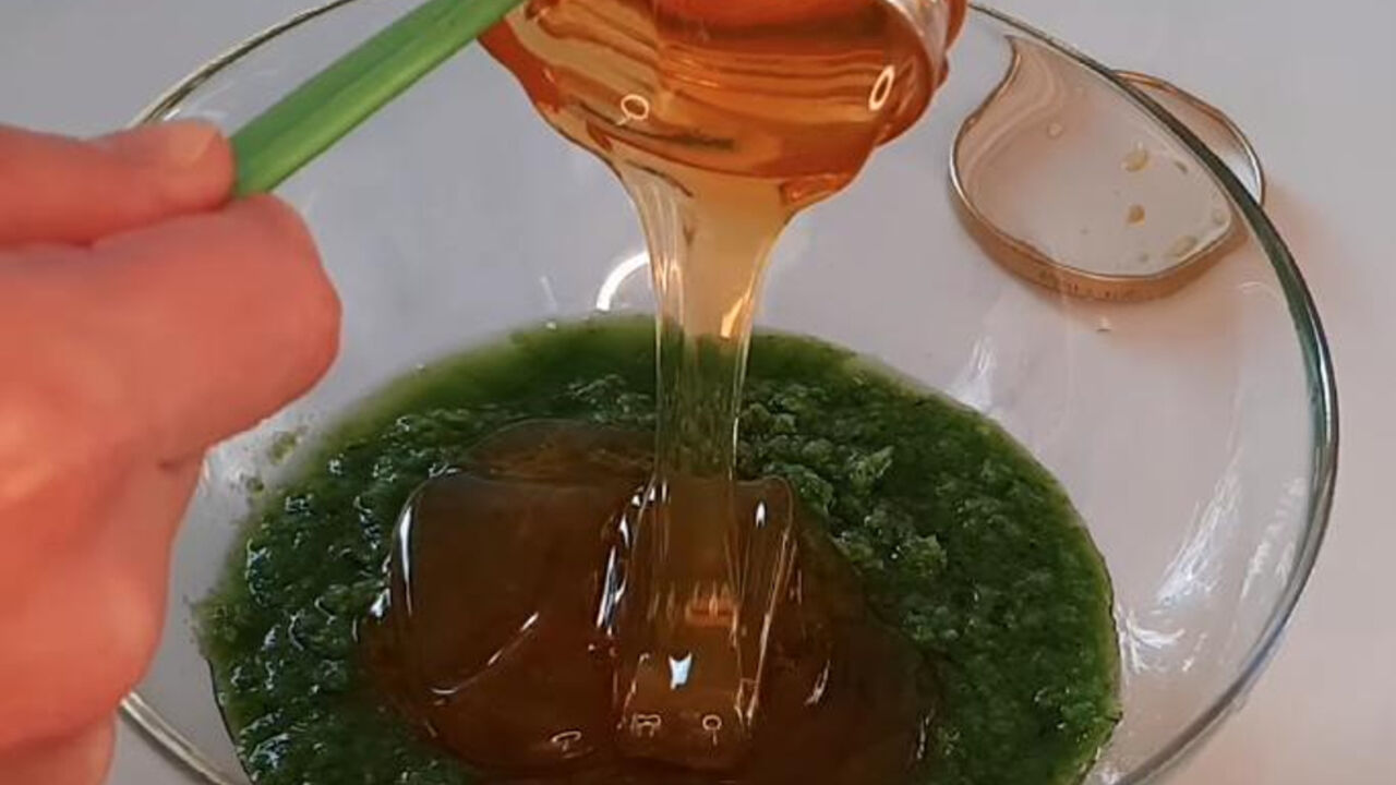 med i čuvarkuća