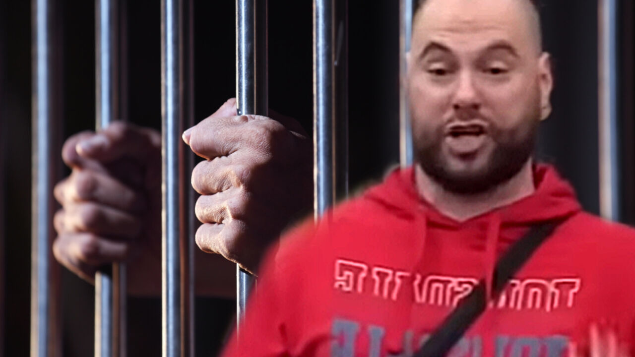 Zadruga 6