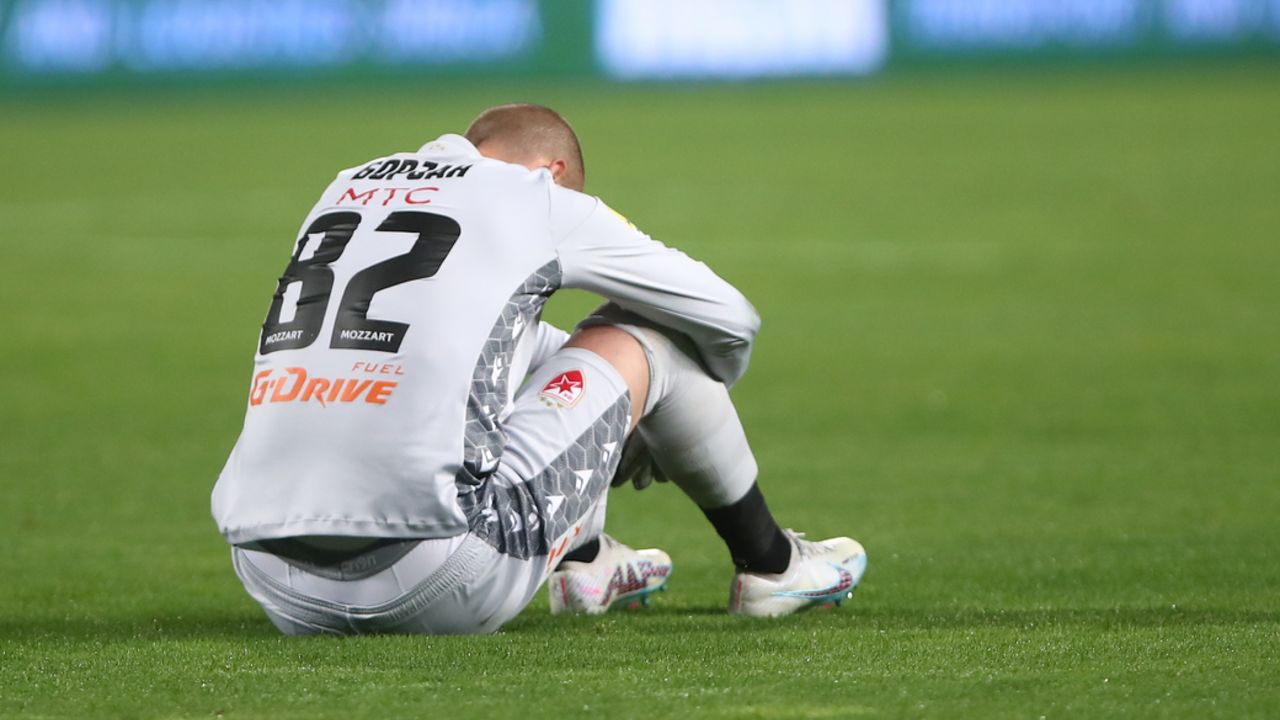Milan Borjan
