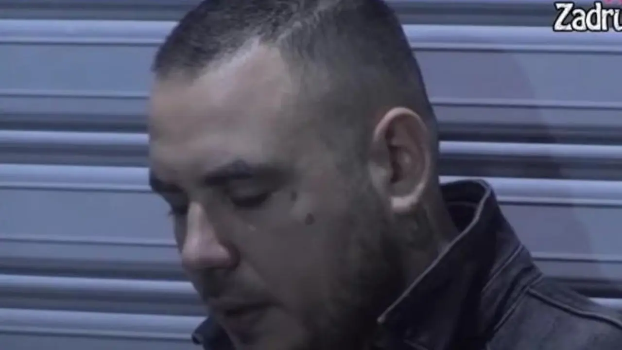 Zadruga 6