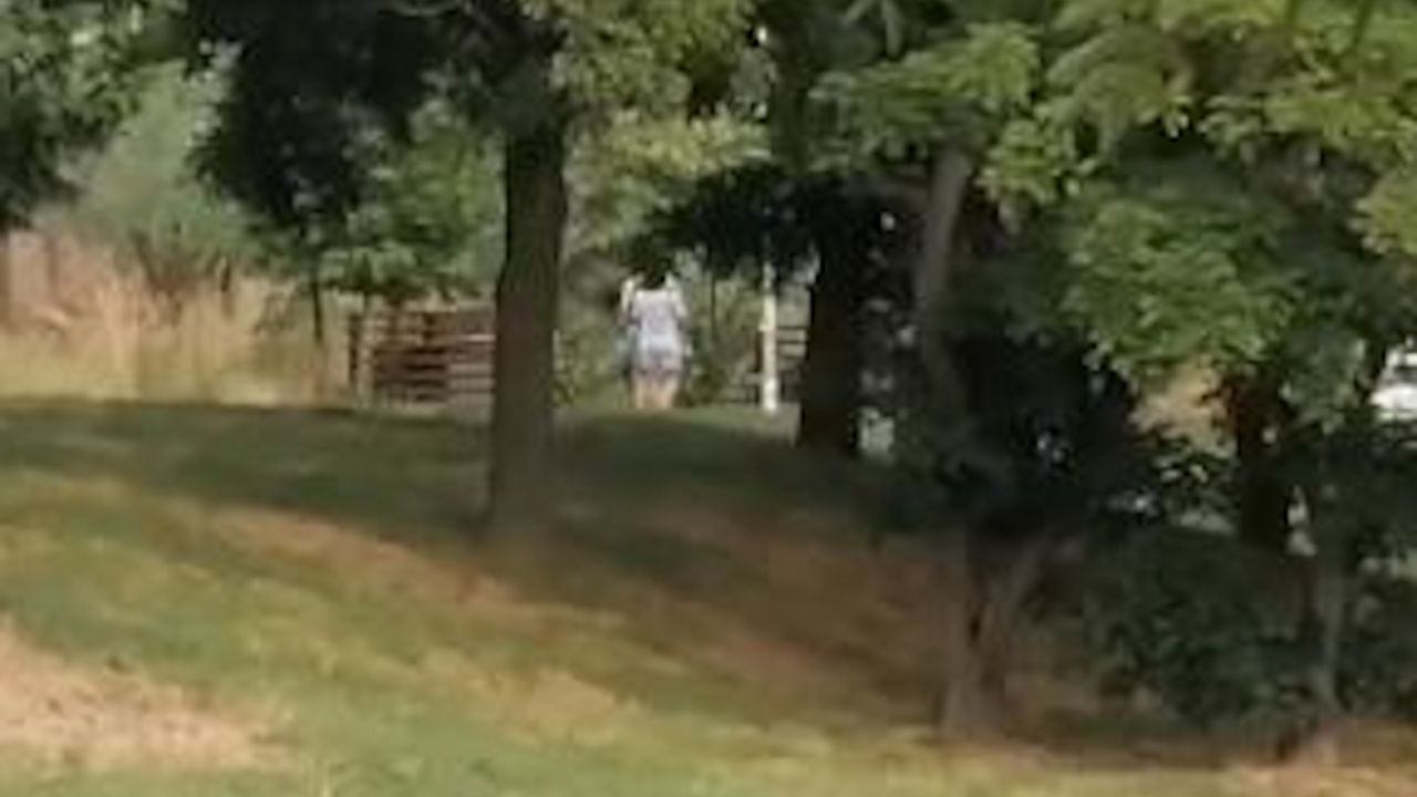 Nasilje