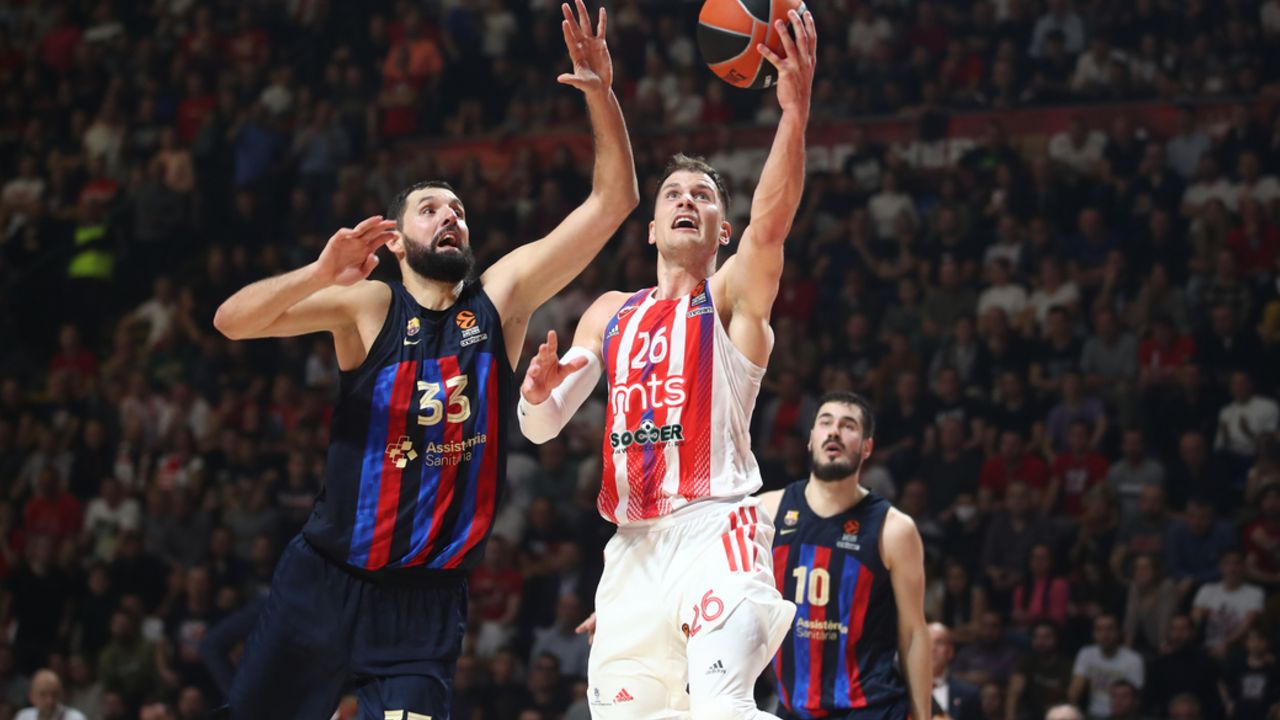 Nikola Mirotić i Nemanja Nedović
