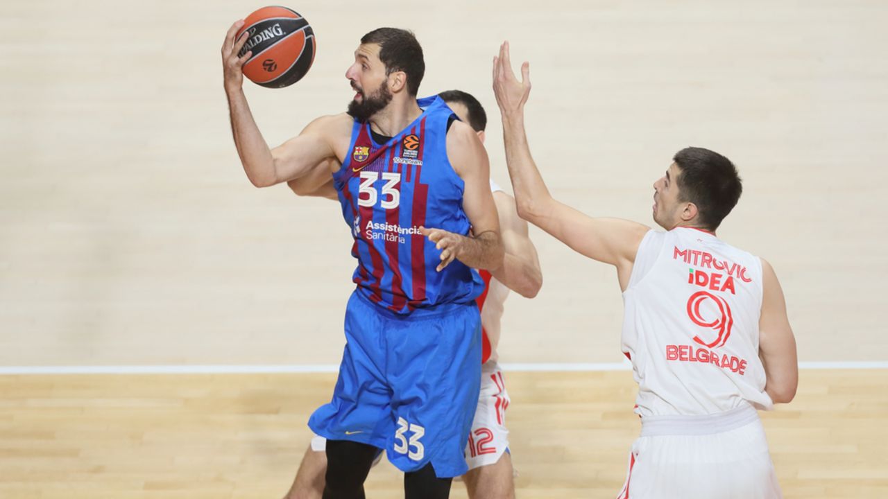 Nikola Mirotić i Luka Mitrović