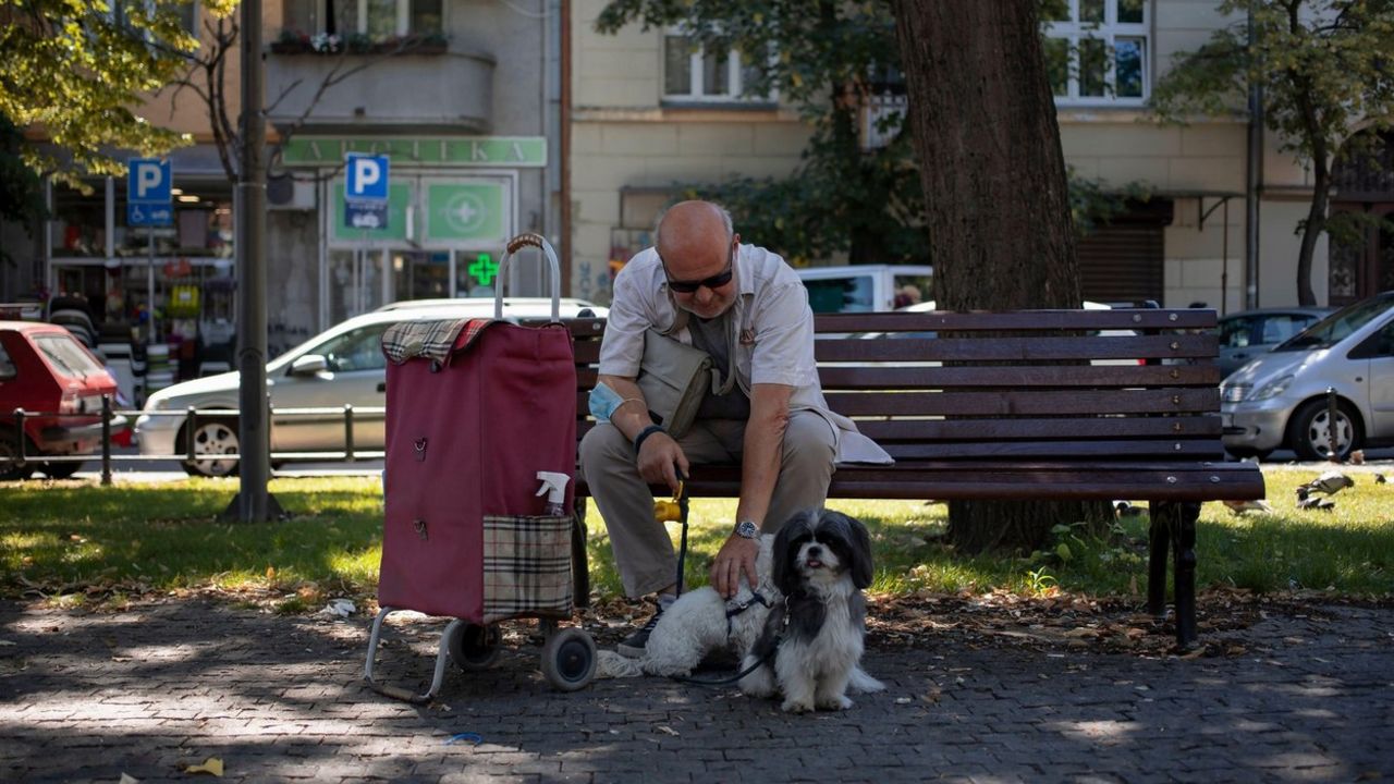 Pas, vlasnik