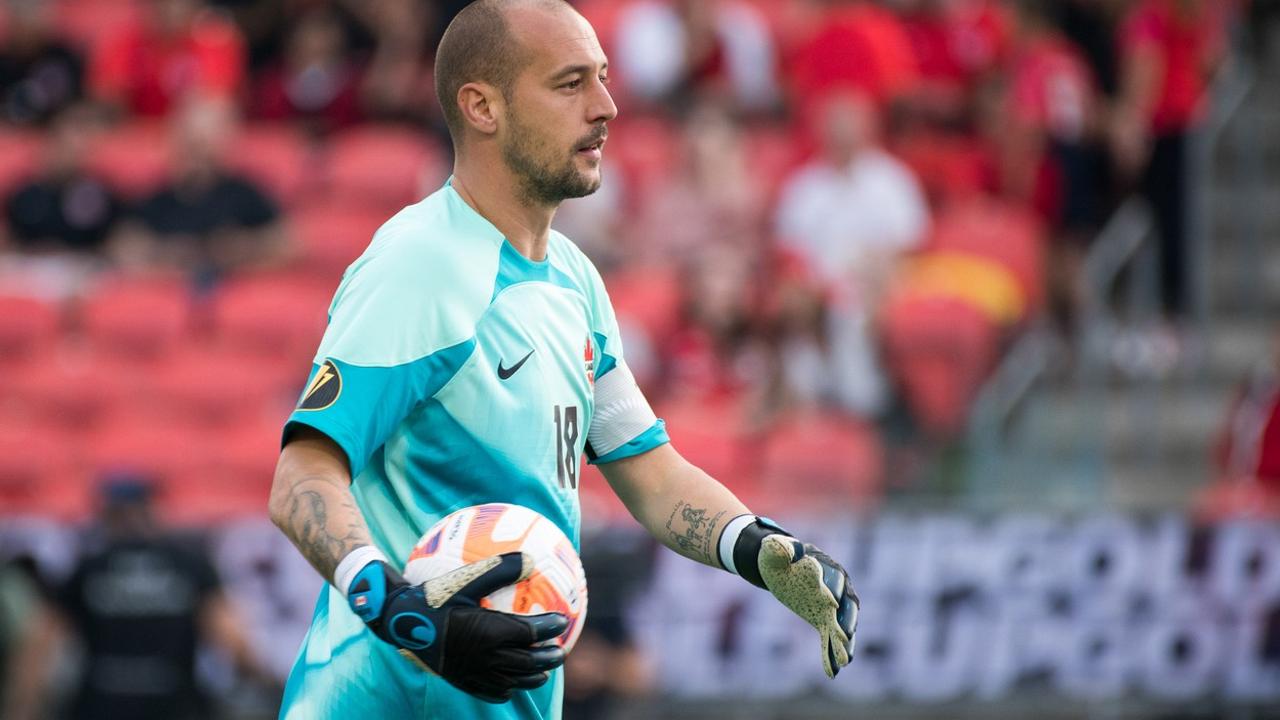 Milan Borjan