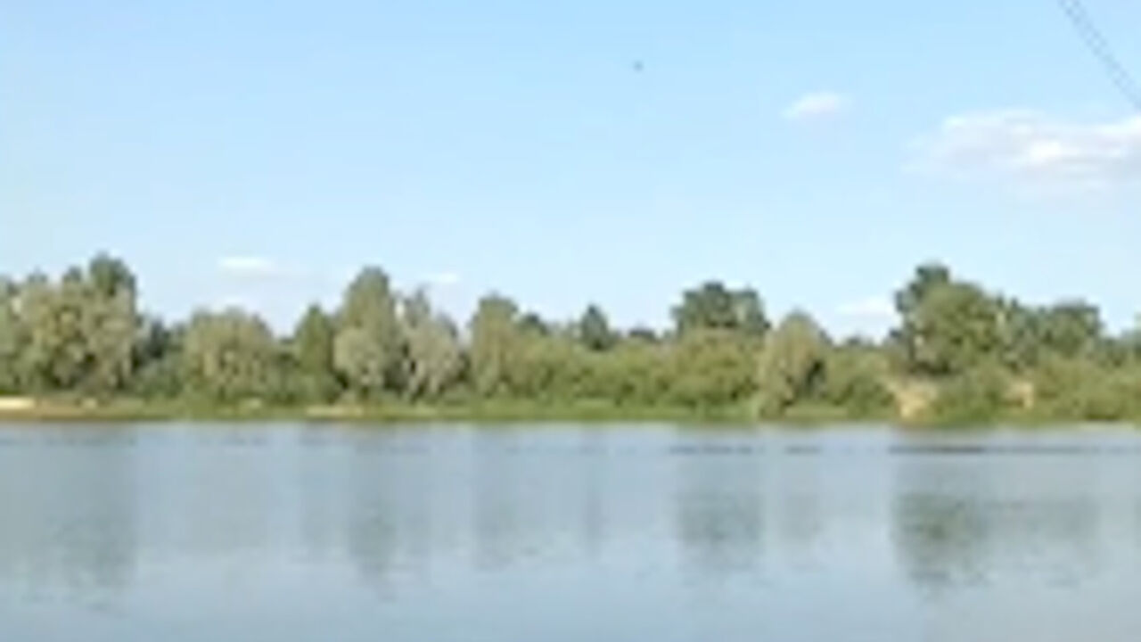 Dron