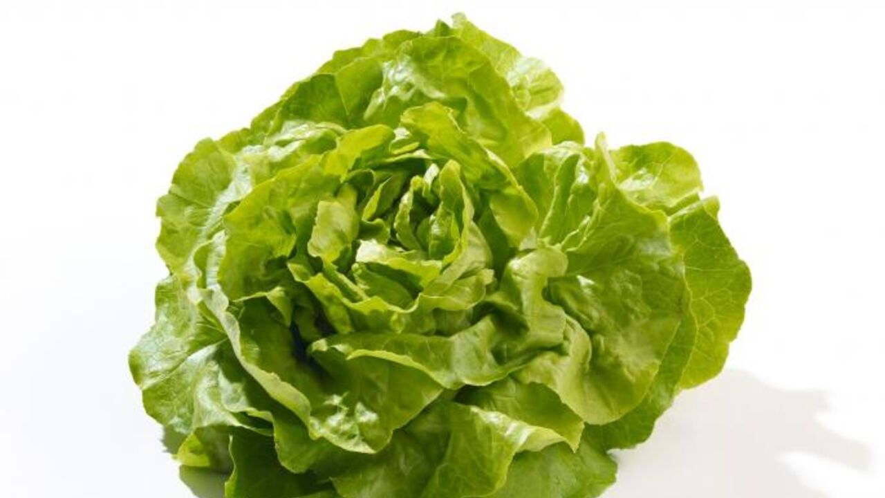 zelena salata