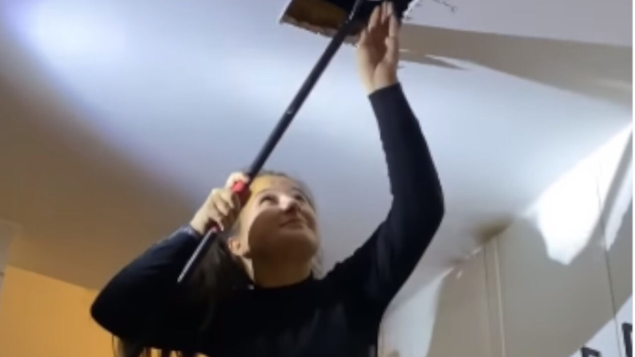 zmije