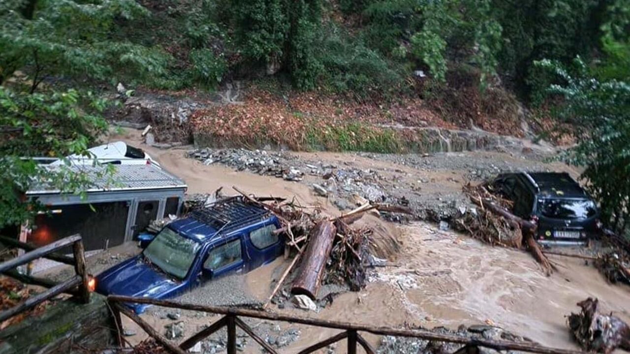 poplave