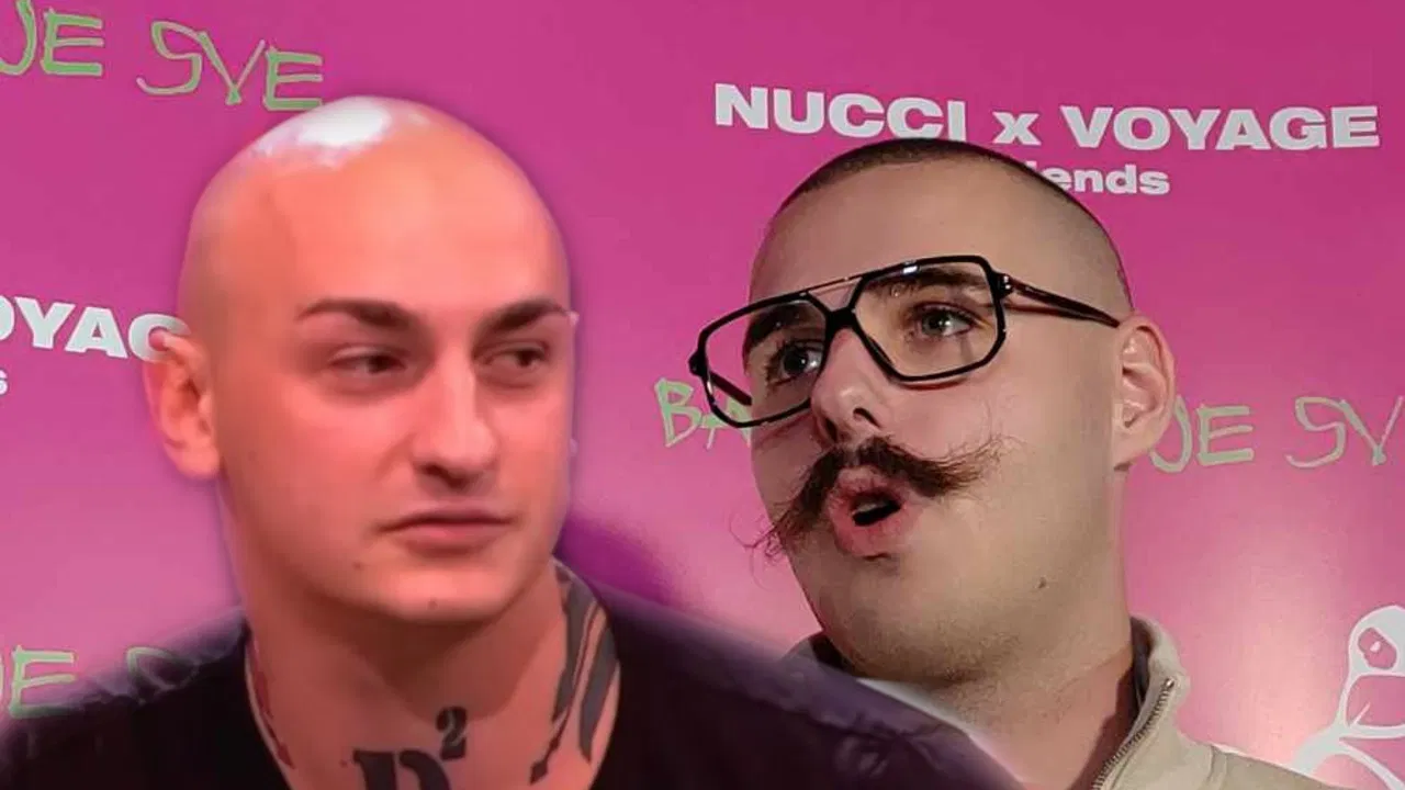 Desingerica, Pljugica