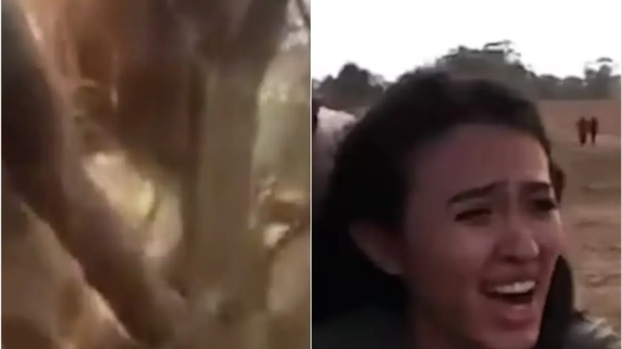 Masakr na muzičkom festivalu u Izraelu
