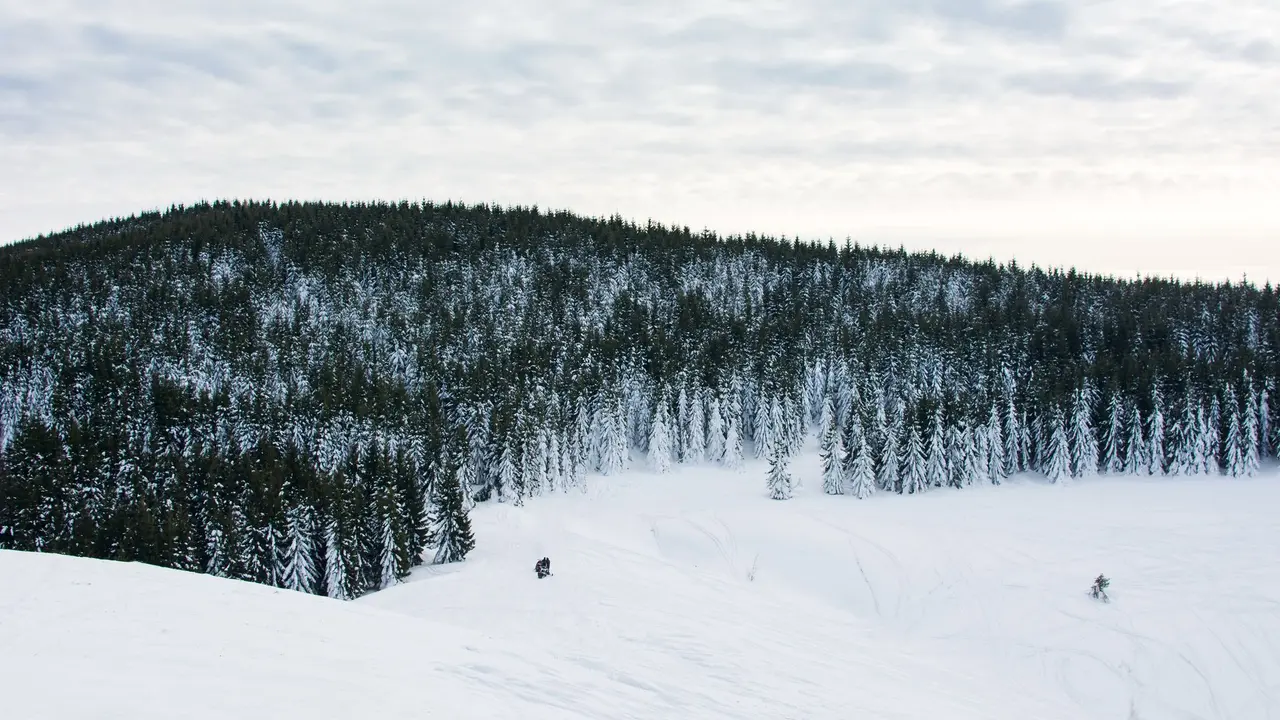 planina Besna Kobila