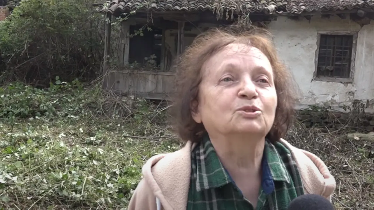 Svetlana Stević