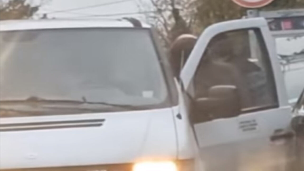 Tuča u Beogradu