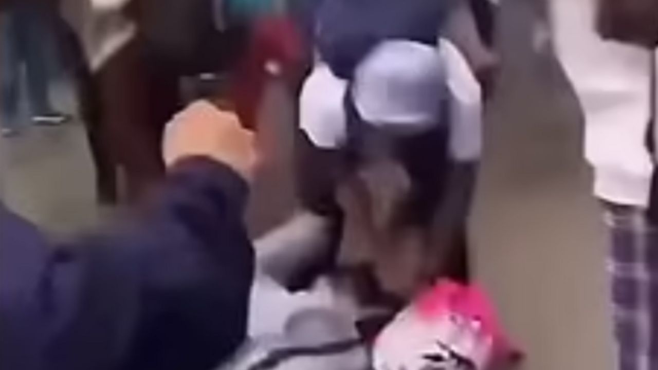 udarac