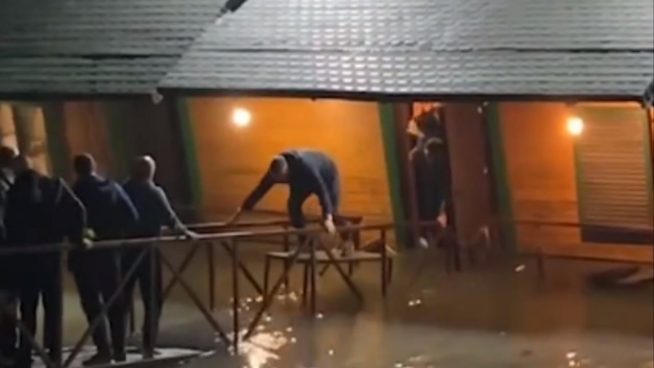 splav