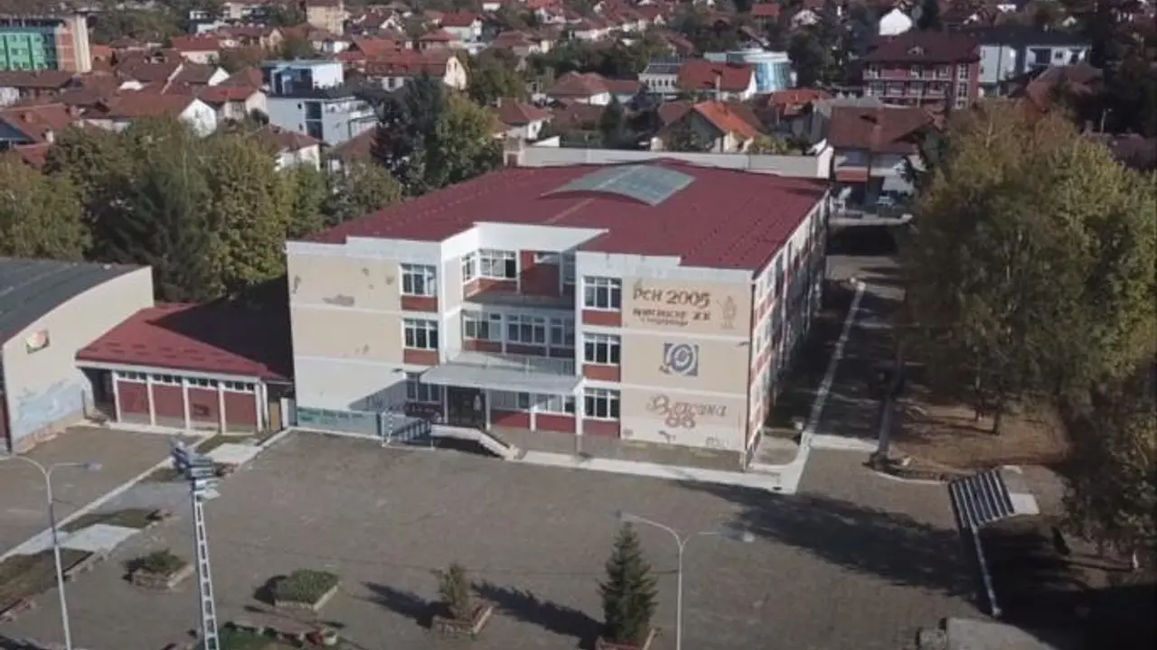 škola