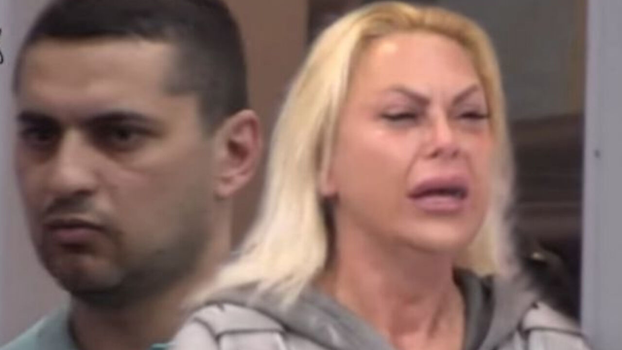 Zadruga 7