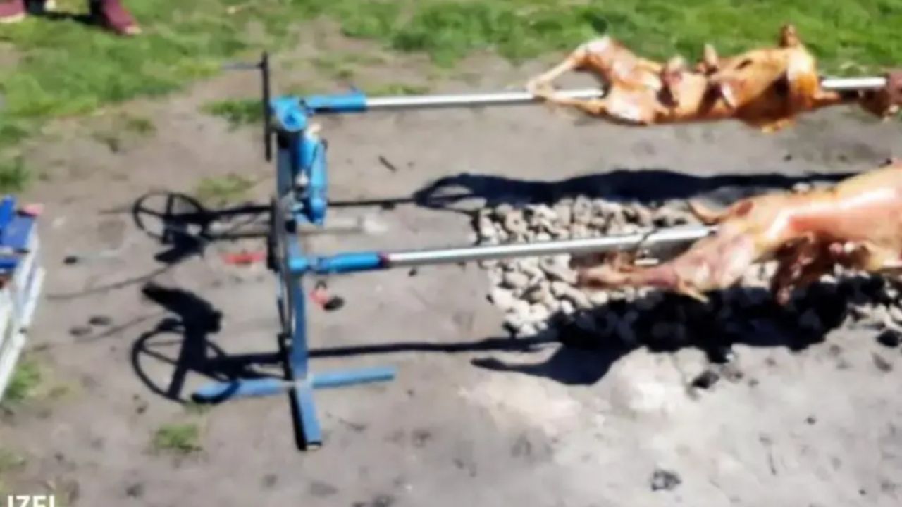 roštiljanje u parku