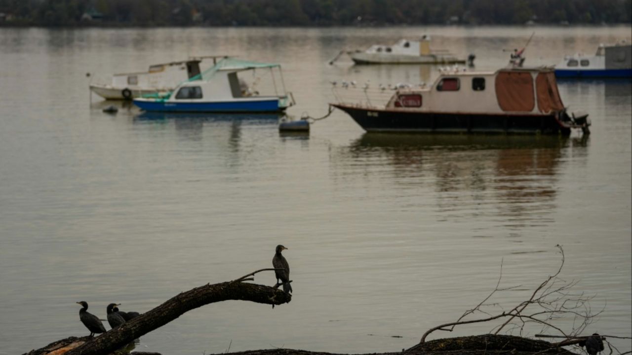poplave