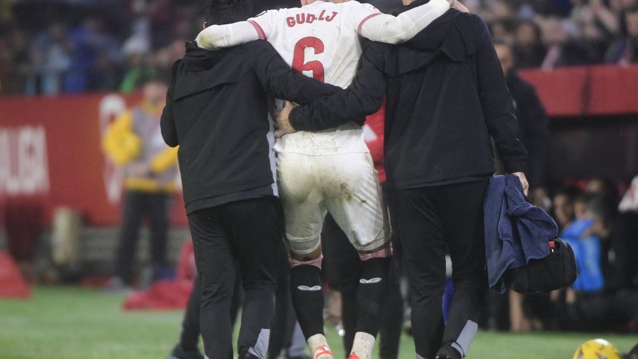 Nemanja Gudelj