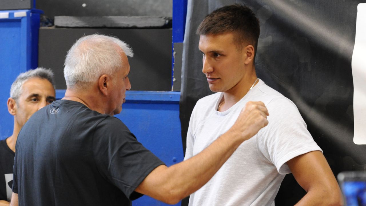 Bogdan Bogdanović, Željko Obradović