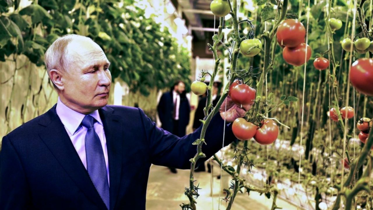 putin