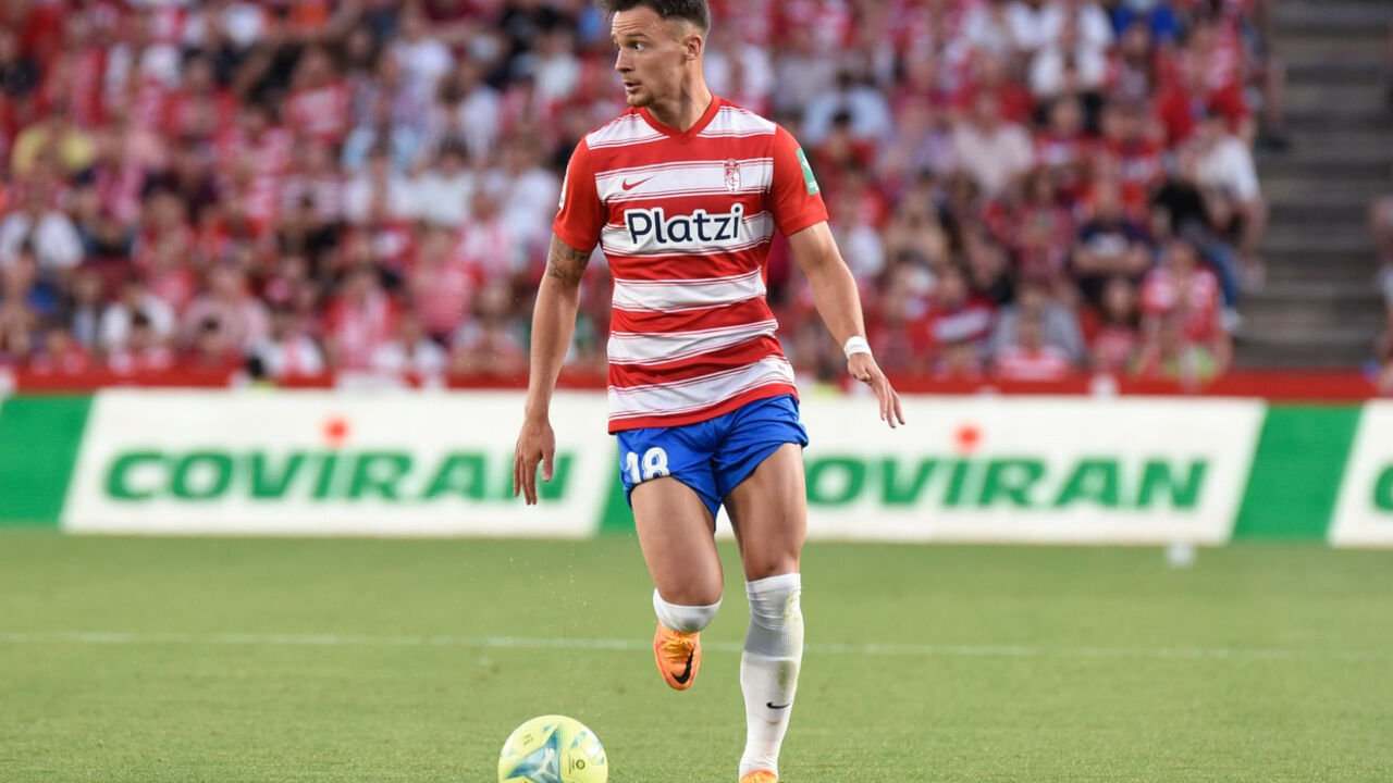 Nejgoš Petrović