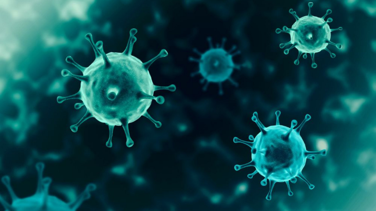 virus