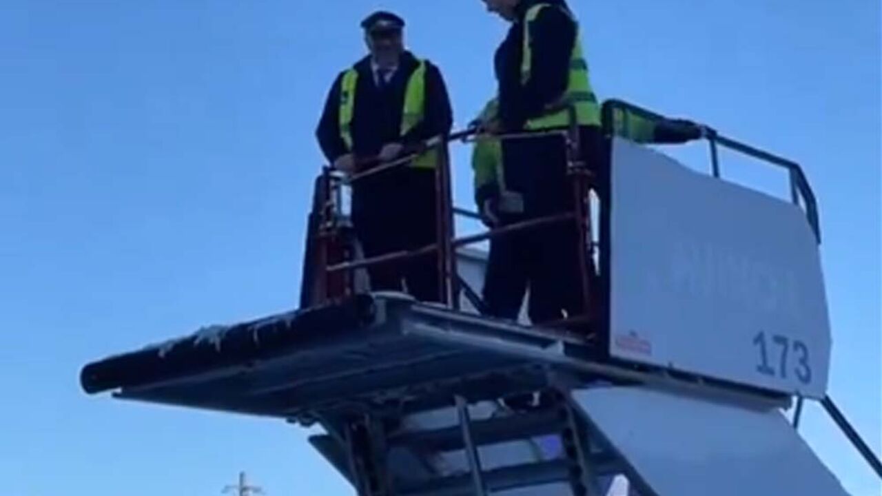 piloti