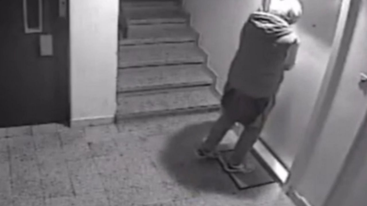 Fantom sa Detelinare