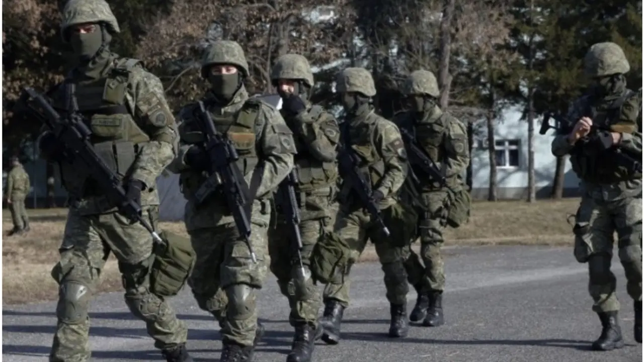 vojska