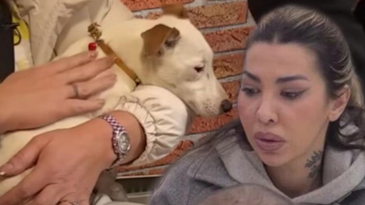 Aneli Ahmić, pas Vesna