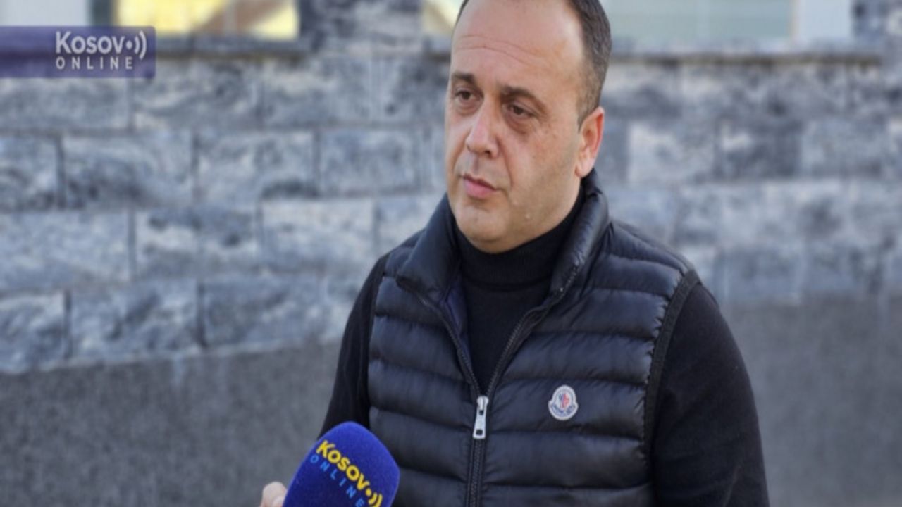 Aleksandar Gudžić istoričar