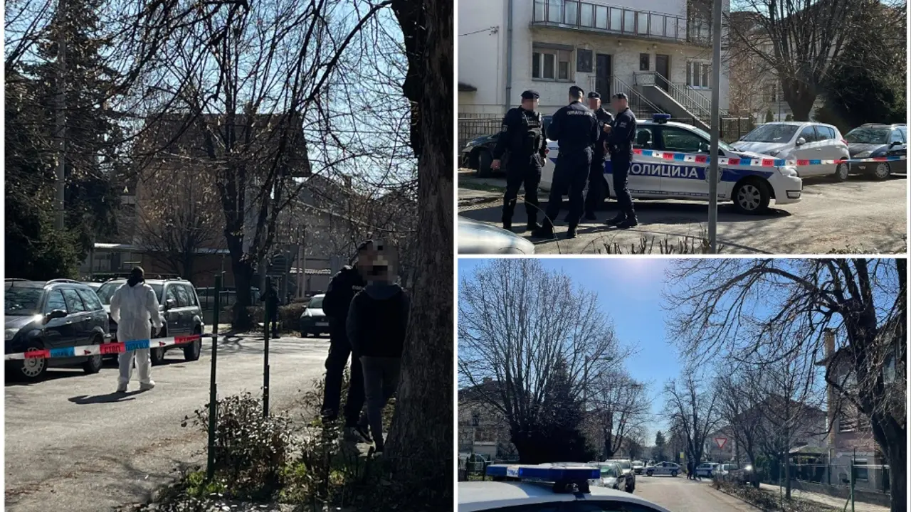 Ubistvo u Zemunu