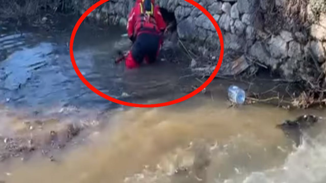 Potraga u Stocu