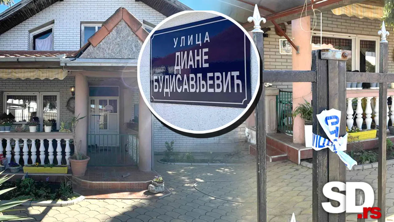 Novi Sad ubistvo