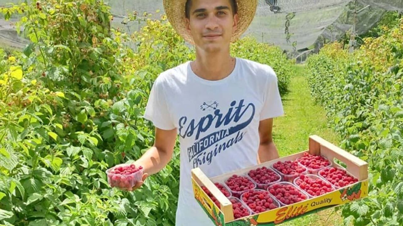 matija