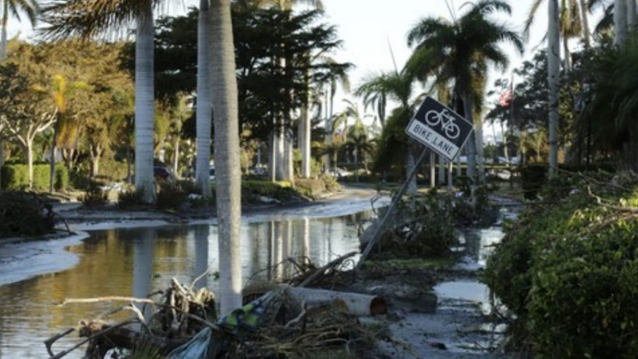 Florida, SAD