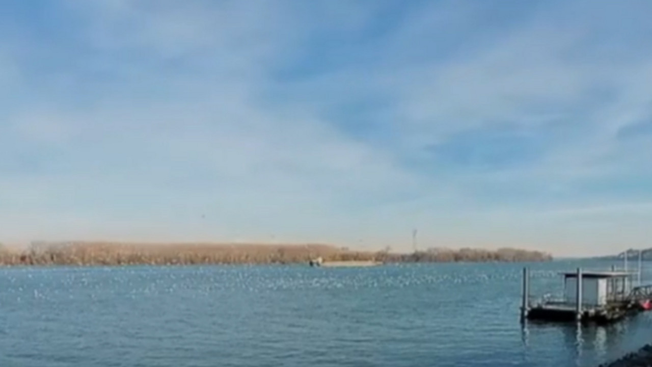 Dunav